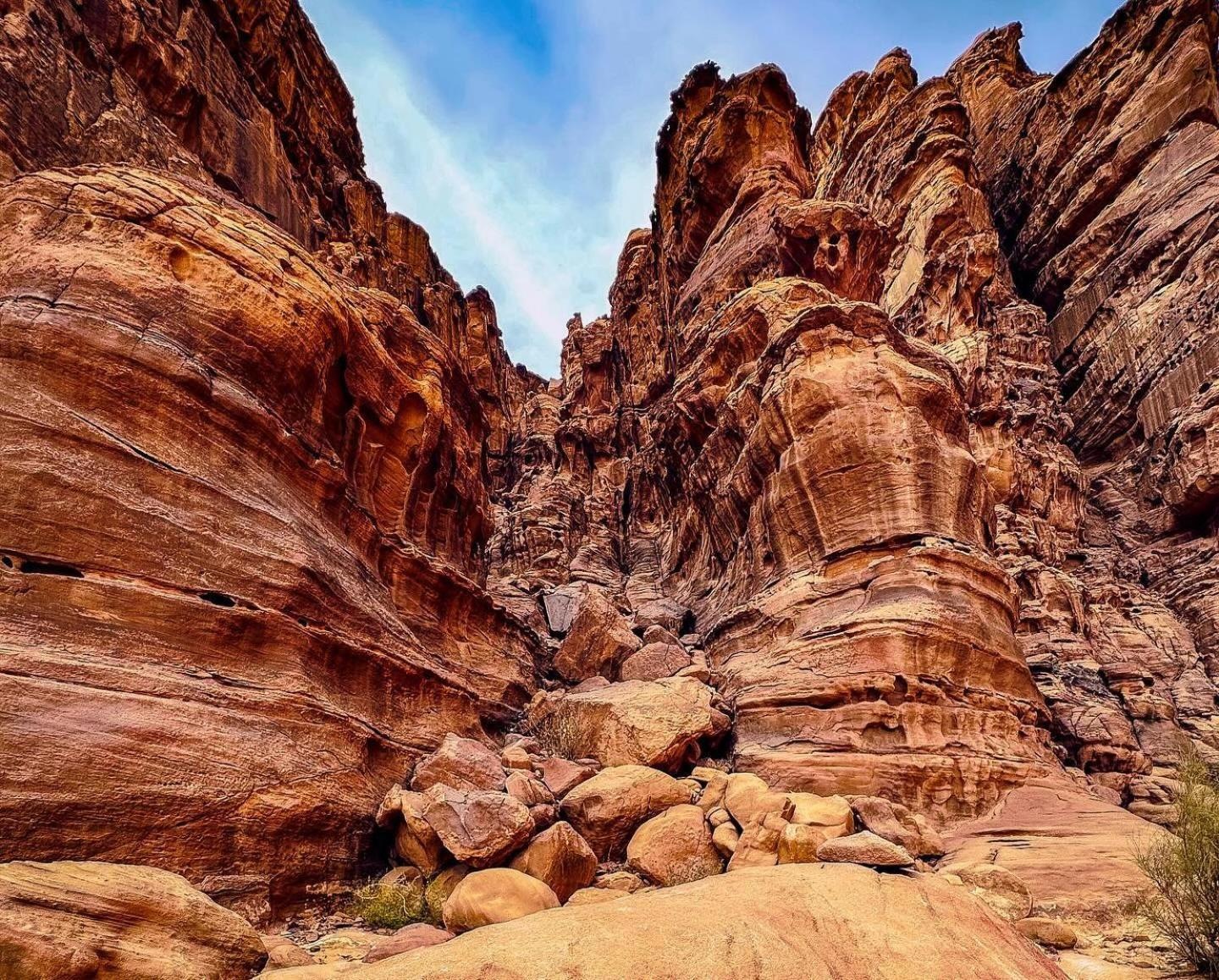 Flower Life Camp Wadi Rum Exterior photo